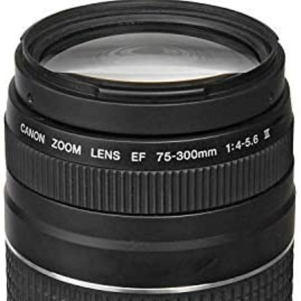 Canon EF 75-300mm f/4-5.6 III Telephoto Zoom Lens for Canon SLR Cameras (Renewed